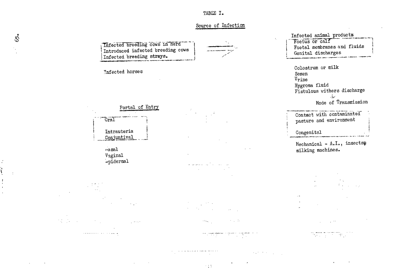 1979 page 65